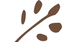 Picto logo