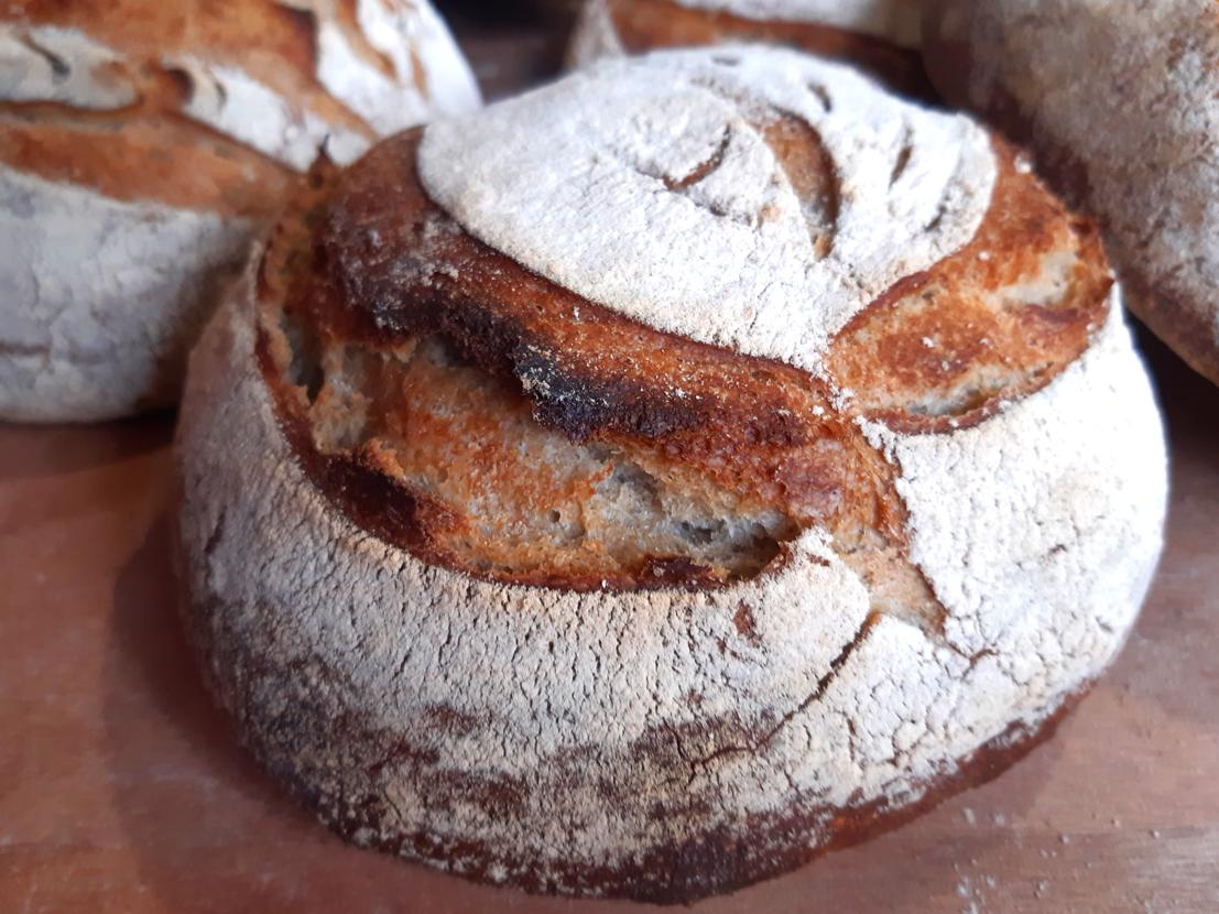pain farine de blés paysans